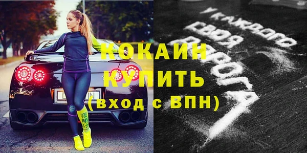 мдпв Бородино