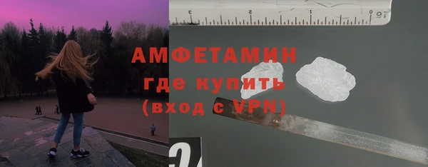 мдпв Бородино
