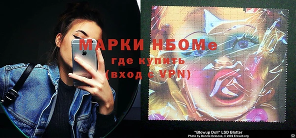мдпв Бородино