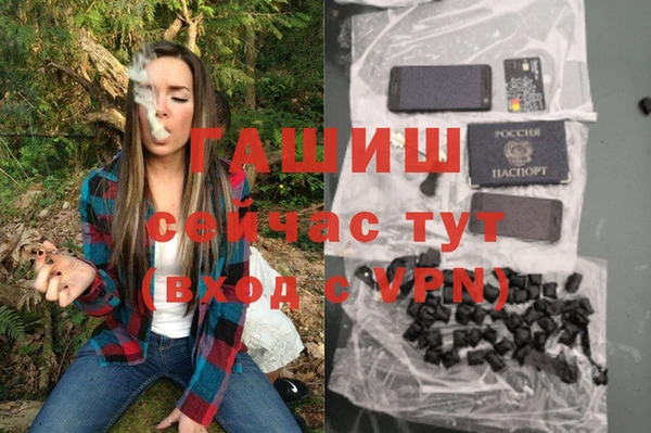 мдпв Бородино