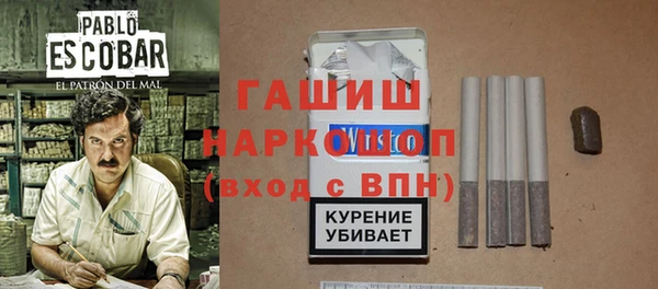 мдпв Бородино